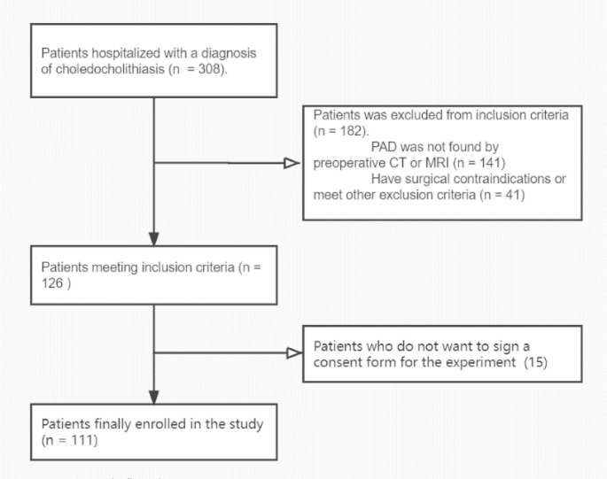 Endoscopic sphincterotomy with balloon dilation vs. monotherapy for choledocholithiasis in periampullary diverticulum: a randomized trial