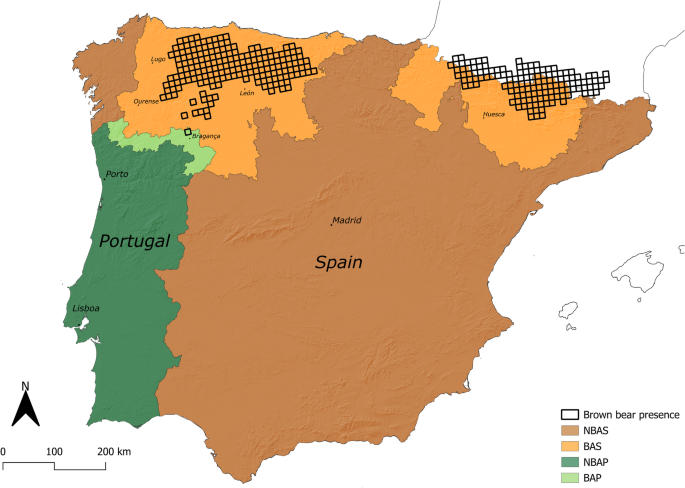 Positive perceptions of brown bears linked to long-term cohabitation in the Iberian Peninsula