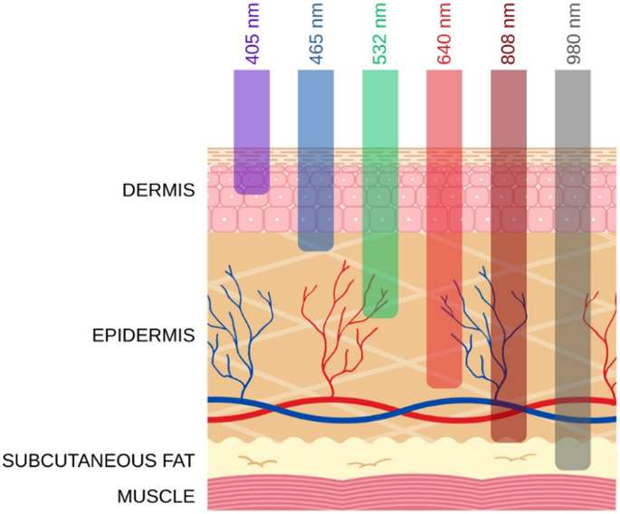 Laser irradiation of human skin tissue after gold nanoparticles injection for thermal ablation processes – a combined experimental and numerical approach