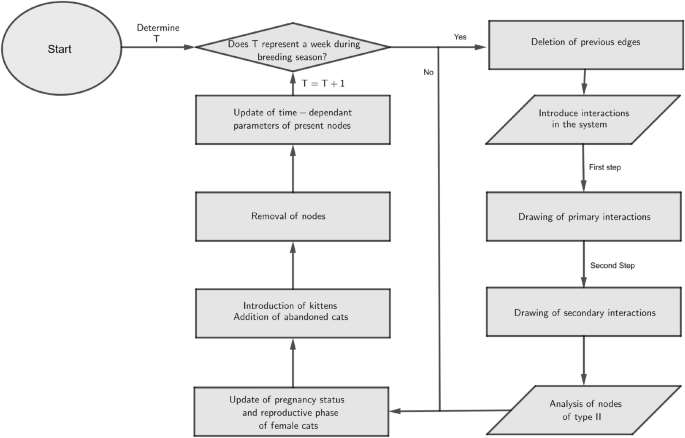 Diffusion and discrete temporal models of the population growth of domestic cats in urban areas