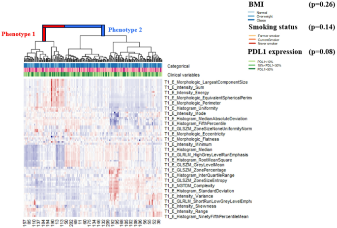 Development of a prognostic multiomic biomarker of progression-free survival in advanced non-small cell lung cancer patients treated with first line immunotherapy