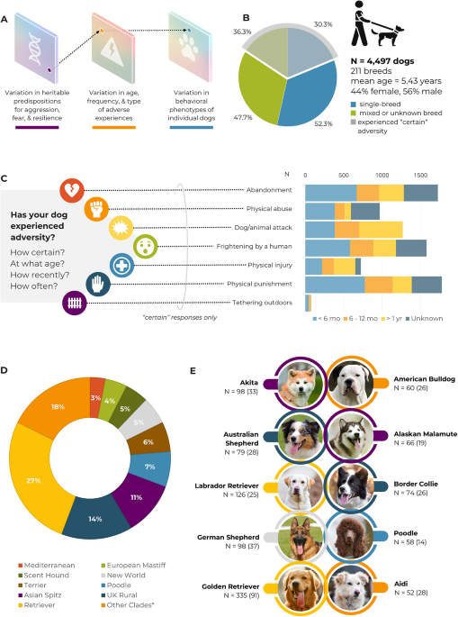 Influence of early life adversity and breed on aggression and fear in dogs