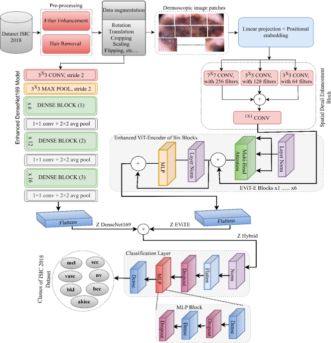 Enhanced early skin cancer detection through fusion of vision transformer and CNN features using hybrid attention of EViT-Dens169