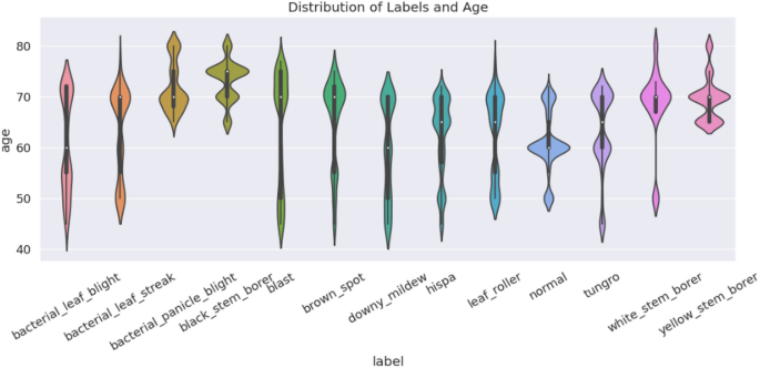 Hybrid deep learning for smart paddy disease diagnosis using self supervised hierarchical reconstruction and attention based temporal analysis