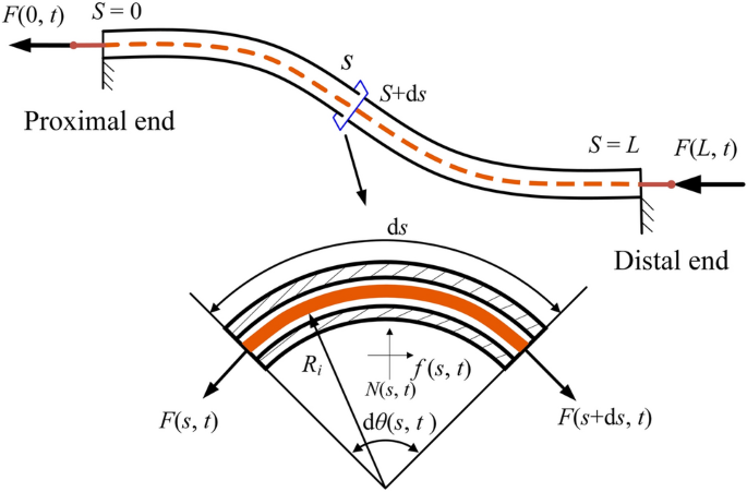 Modeling and compensation control of a single tendon-sheath actuated system with time-varying parameters