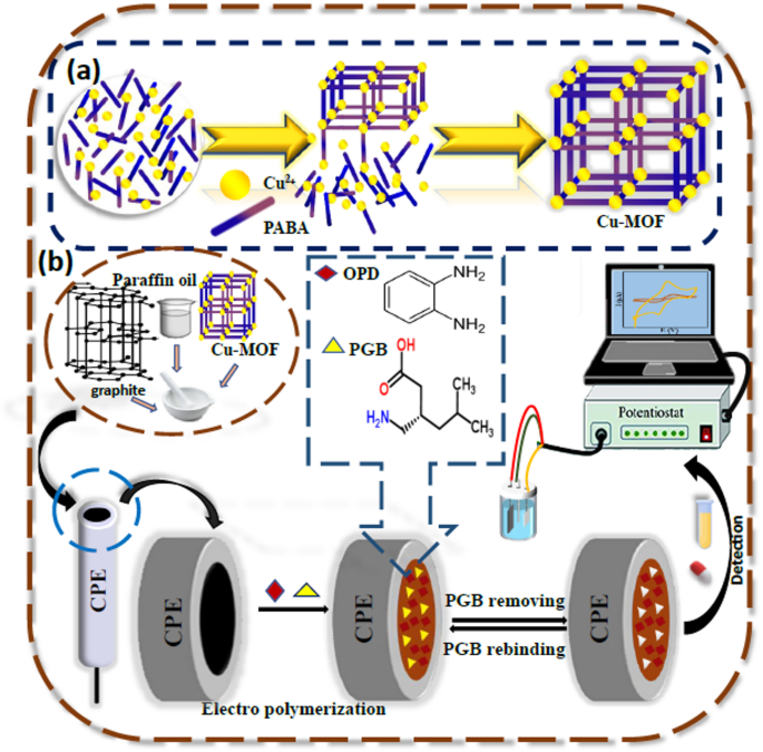 Molecularly imprinted electrochemical sensor based on copper 4-amino benzoic acid metal-organic framework for determination of pregabalin: electrochemical and DFT studies