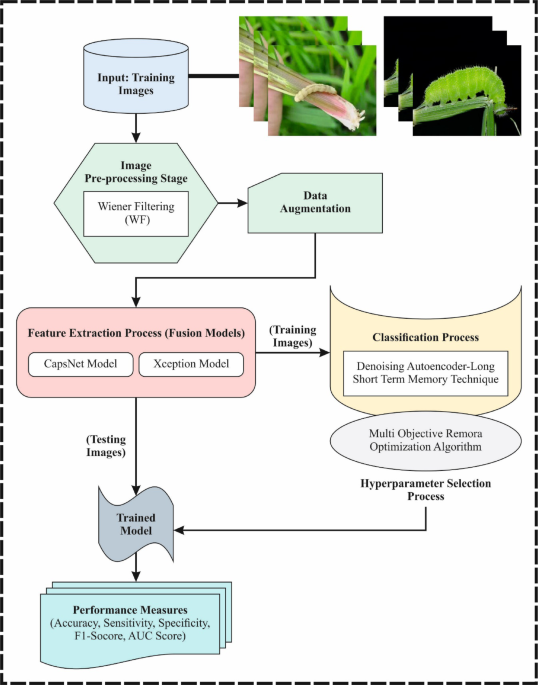 A fusion transfer learning framework for intelligent pest recognition in sustainable agriculture