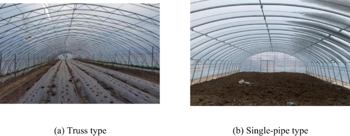 Wind-induced response analysis of flat-elliptical pipe skeleton plastic greenhouse considering dynamic wind effects