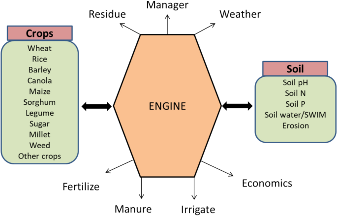 Modelling crop growth and soil hydrothermal regimes under conservation agriculture using APSIM-wheat