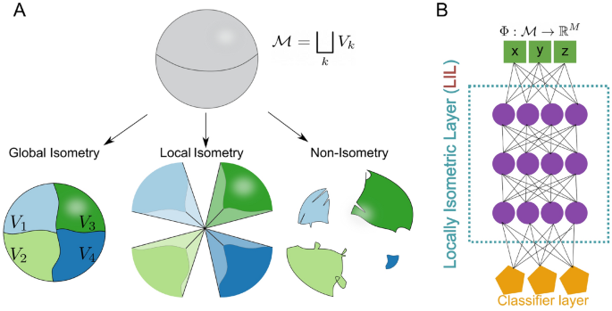 Isometric representations in neural networks improve robustness
