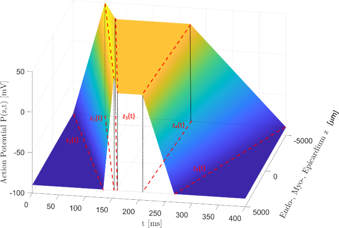 A mathematical approach to demonstrate R to T wave concordance of the human ECG
