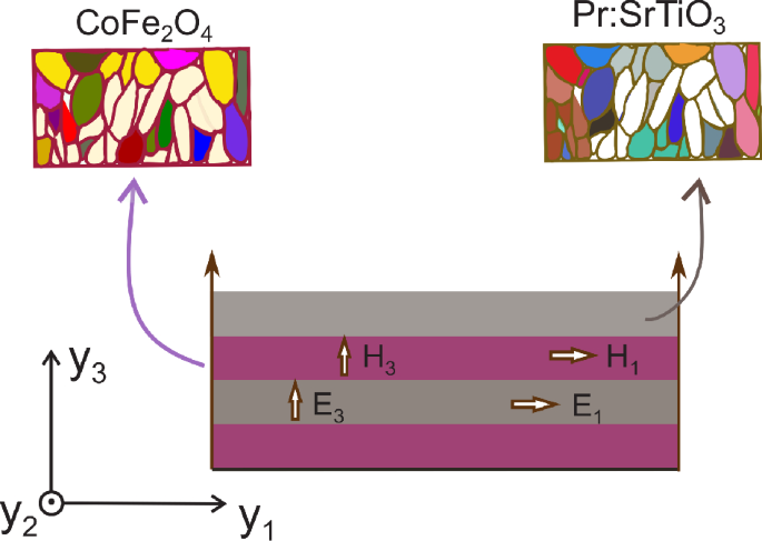 Magnetic and electric polar regions in the magnetoelectric composite microstructure