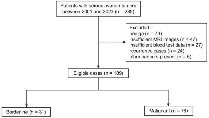 Application of multimodal integration to develop preoperative diagnostic models for borderline and malignant ovarian tumors