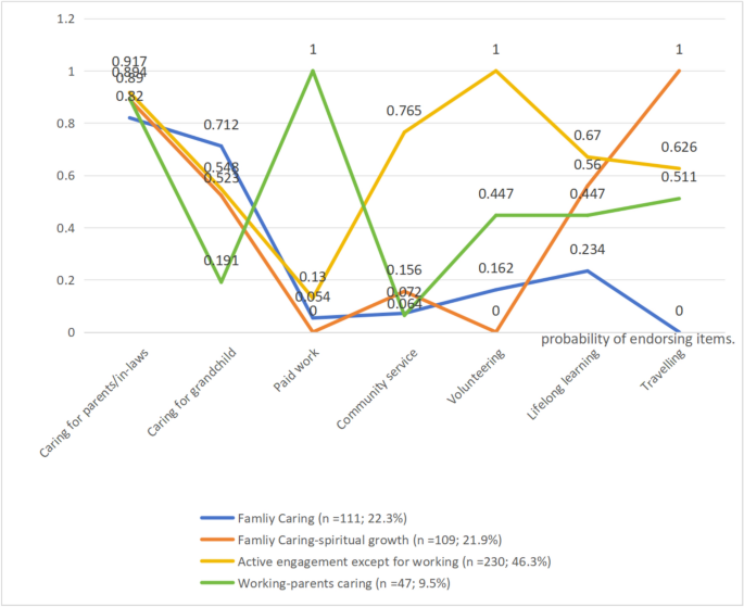 Productive engagement patterns and their association with life satisfaction among elderly sandwich generation