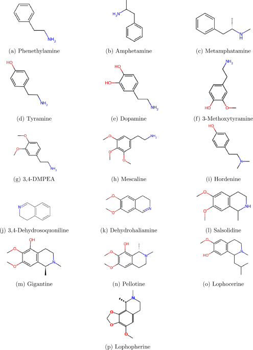 Computational analysis of metal organic framework and covalent organic framework using degree based topological indices with QSPR validation