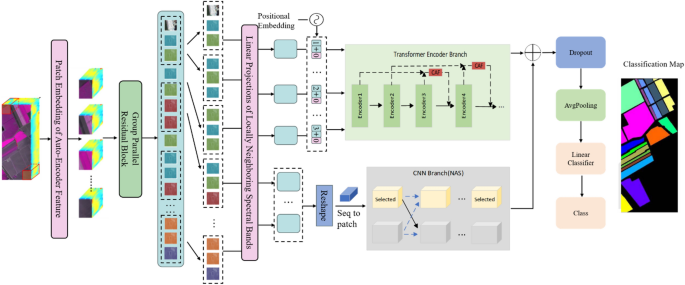 A dual-channel hyperspectral classification method based on NAS and transformer
