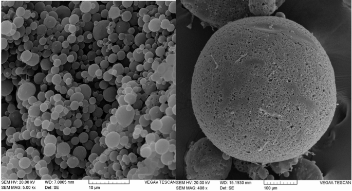 Nanotechnology Meets superbugs: biocompatible polymeric nanoparticles combat MDR Klebsiella pneumoniae via gene suppression and biofilm Inhibition