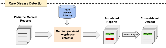 An integrated approach for rare disease detection and classification in Spanish pediatric medical reports