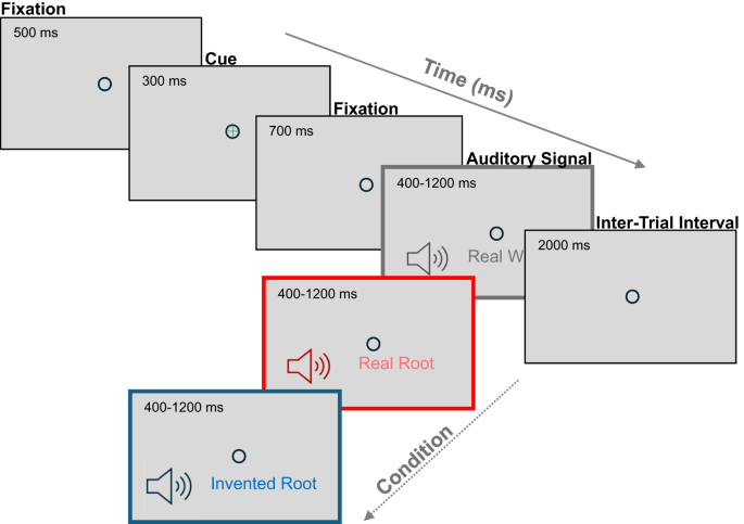 Oculomotor chronometry of spoken word structure processing