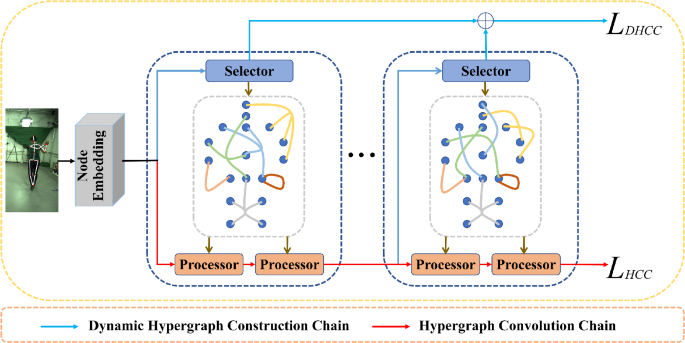 Dual chain dynamic hypergraph convolution network for 3D human pose estimation