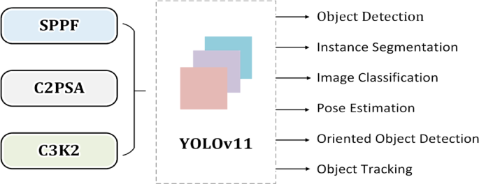 Optimizing YOLOv11 for automated classification of breast cancer in medical images