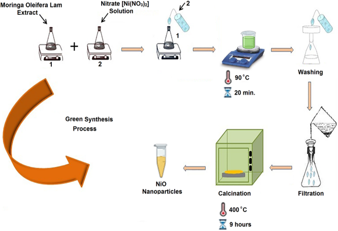Physiological characteristics and green production NiO nanoparticle synthesis employing Moringa Oleifera lam extract to assess in vitro cytotoxicity, antibacterial