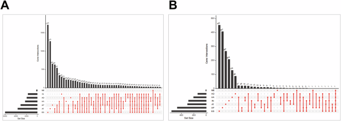 ACTG1 driven splicing of P4HB gene enhances EMT and bladder cancer progression
