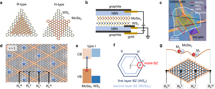 Programmable phonon-assisted resonant energy transfer between moiré cells in charge-tunable MoSe2-WS2 heterobilayers