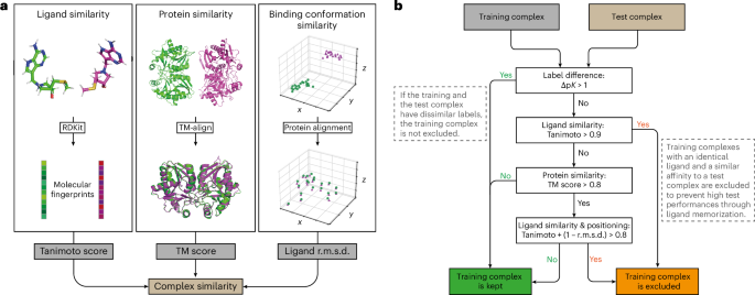 Resolving data bias improves generalization in binding affinity prediction