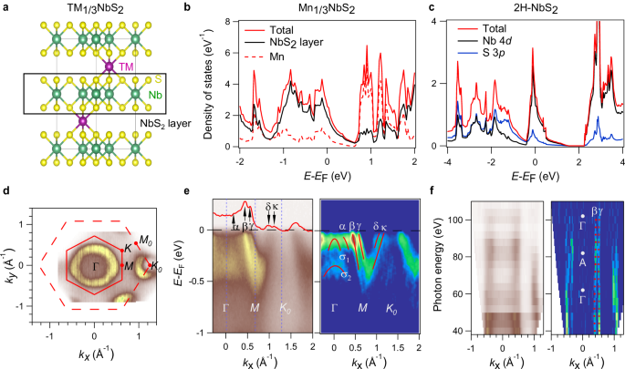 Hund’s rule coupling and interlayer hybridization of intercalated transition metal dichalcogenides