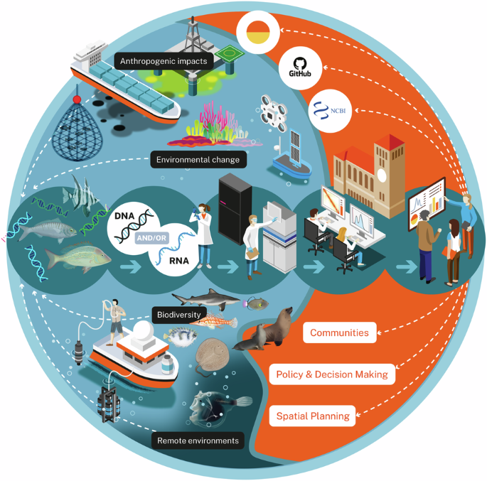 Ocean Genomes: reference genome resources for marine vertebrates