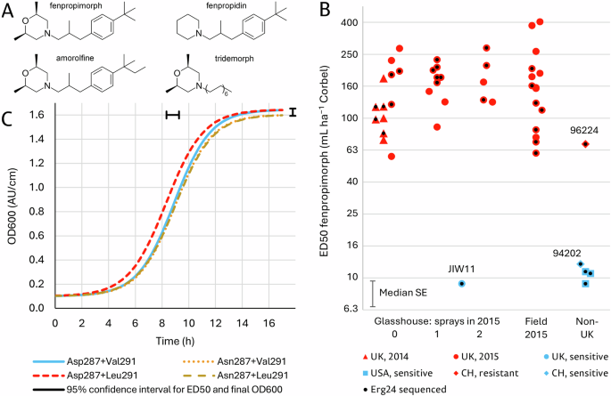 Resistance of ERG24 sterol C-14 reductase to heterocyclic amine antifungals