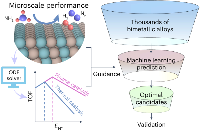 Interpretable machine learning-guided plasma catalysis for hydrogen production