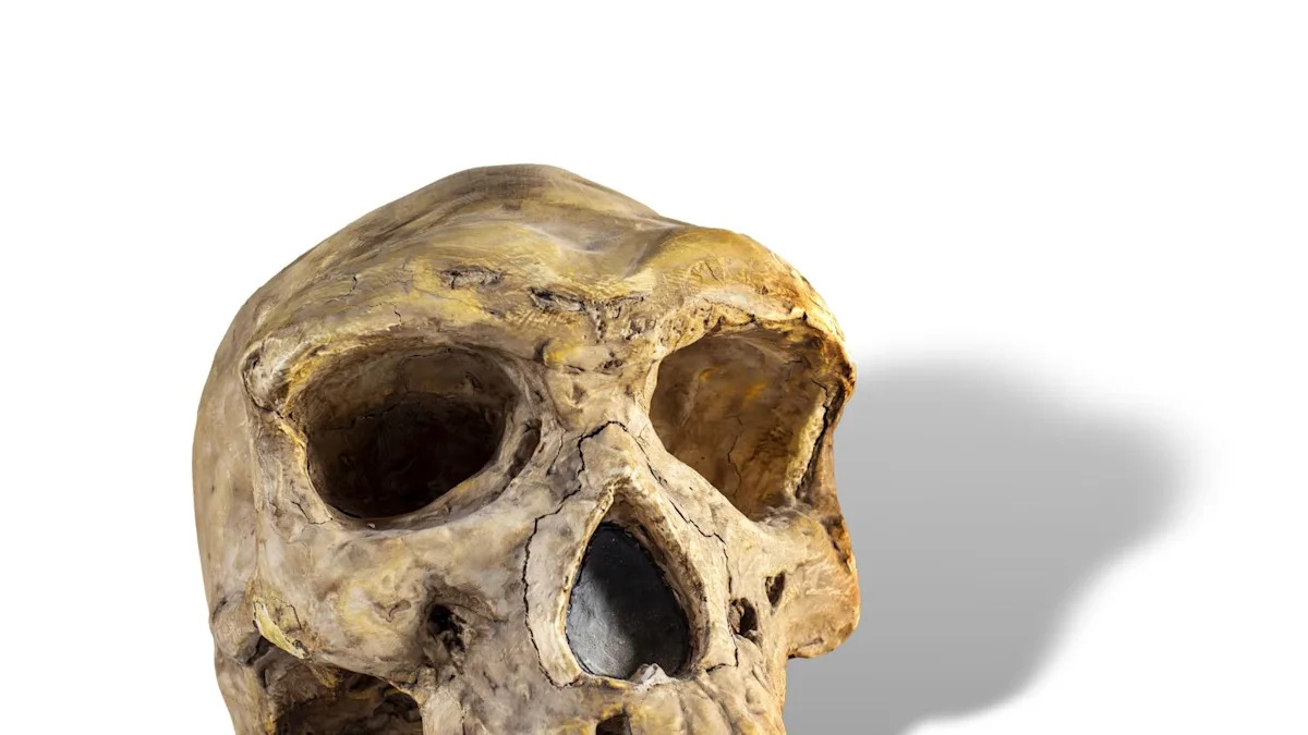 A Deadly Toxin Once Threatened Every Human on Earth. But Then We Fought Back.