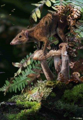 Mammals Were Adapting From Life in the Trees to Living on the Ground Before Dinosaur-Killing Asteroid