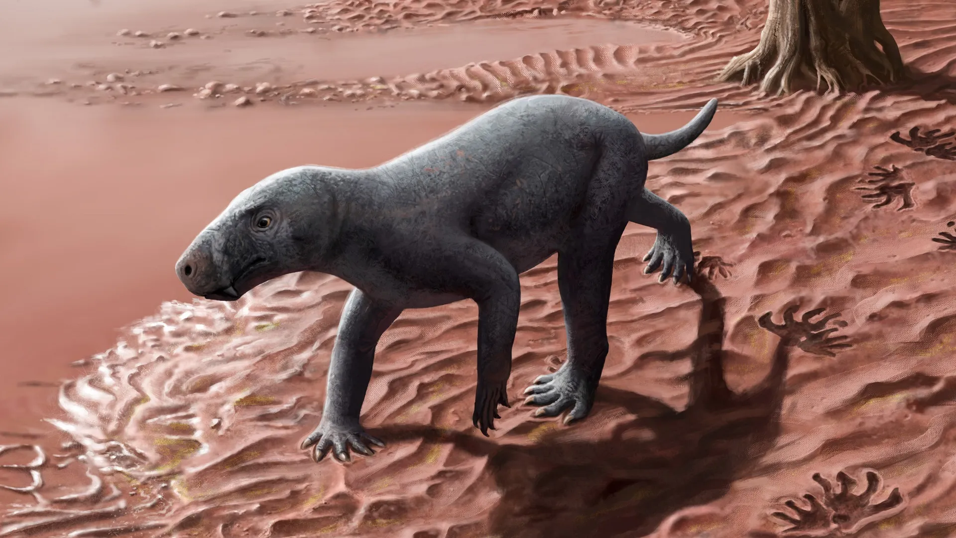 Dog-like predator tracks in Mallorca reveal the origins of mammals