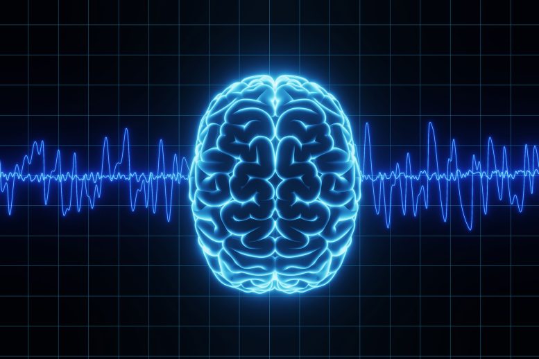 Yale Scientists Solve a Century-Old Brain Wave Mystery