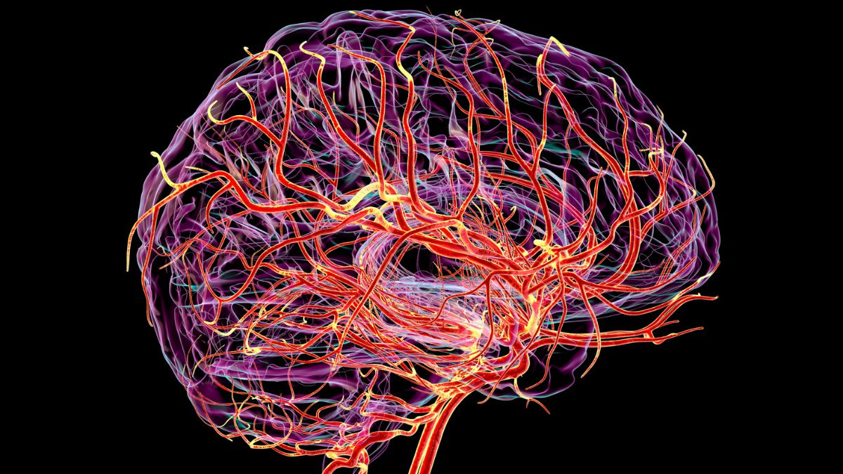 Scientists Discover Hidden Pulse in The Brain That May Warn of Dementia : ScienceAlert