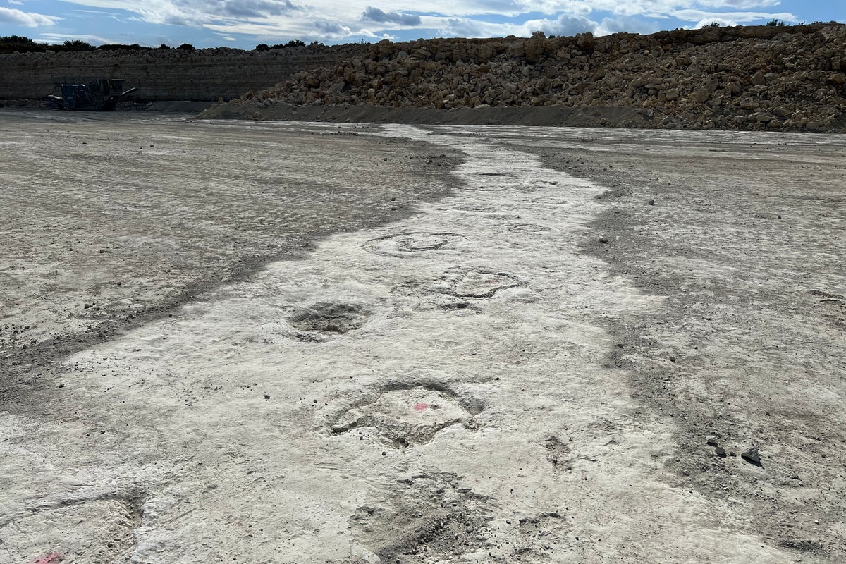 Extensive dinosaur trackways discovered in unlikely location – The Independent