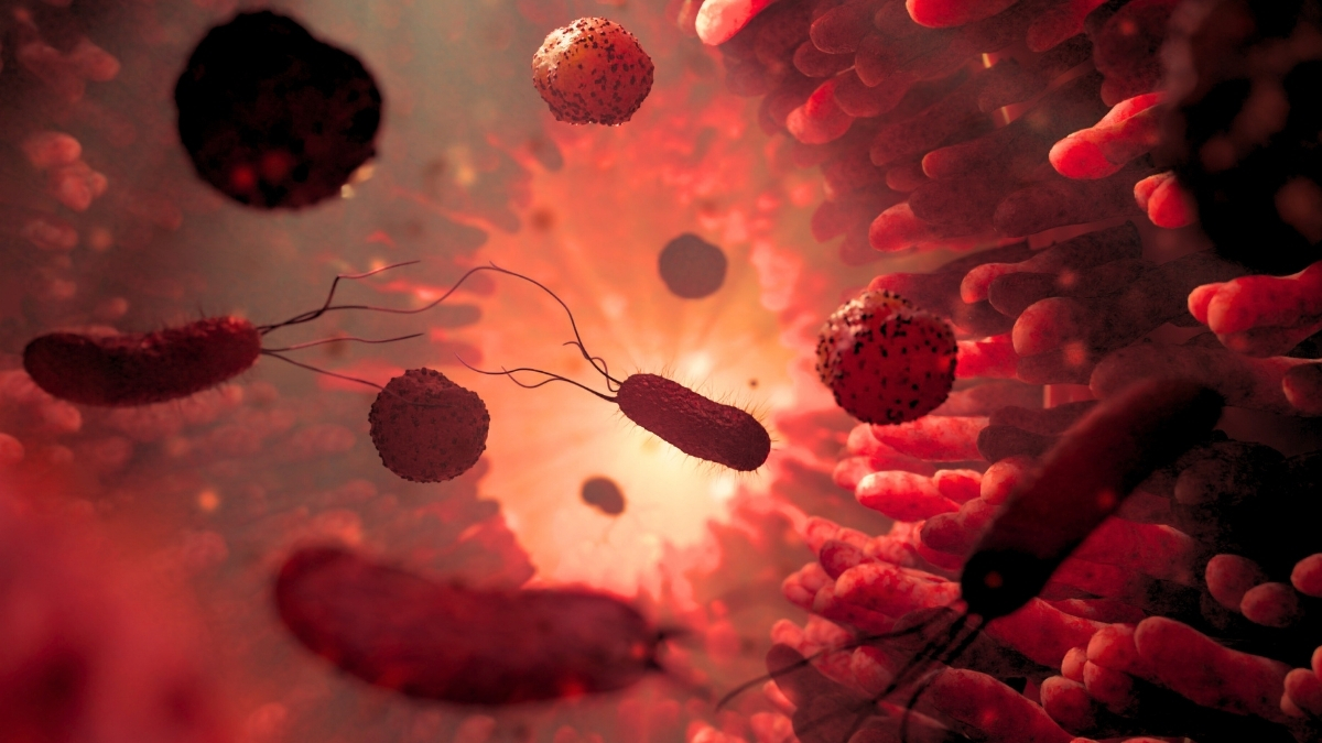 Fecal Transplants Can Help Alleviate Depression, Evidence Shows : ScienceAlert