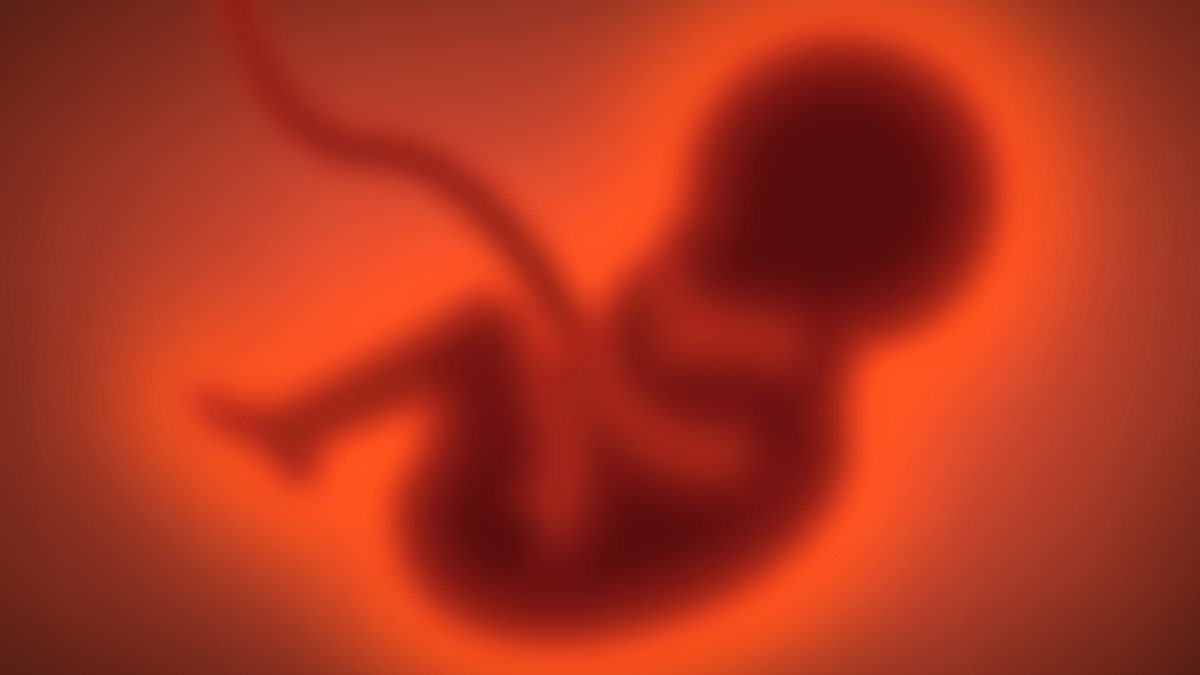 ‘Forever Chemicals’ in Mothers’ Blood Linked to Brain Changes in Their Kids : ScienceAlert