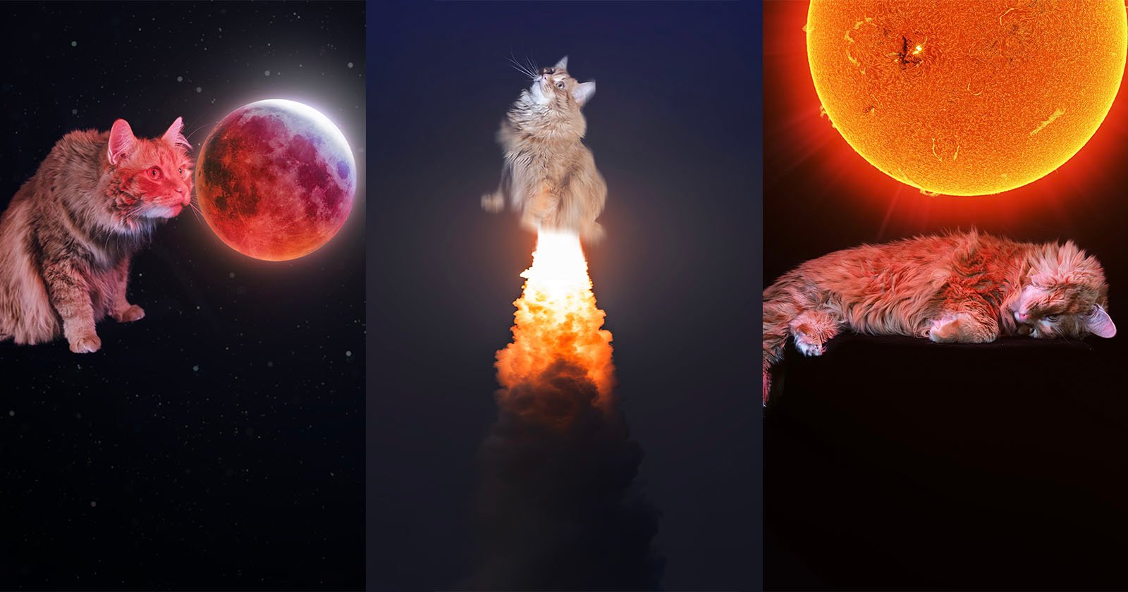 Astrophotographer Adds His Adorable Cat to Far Out Space Photos