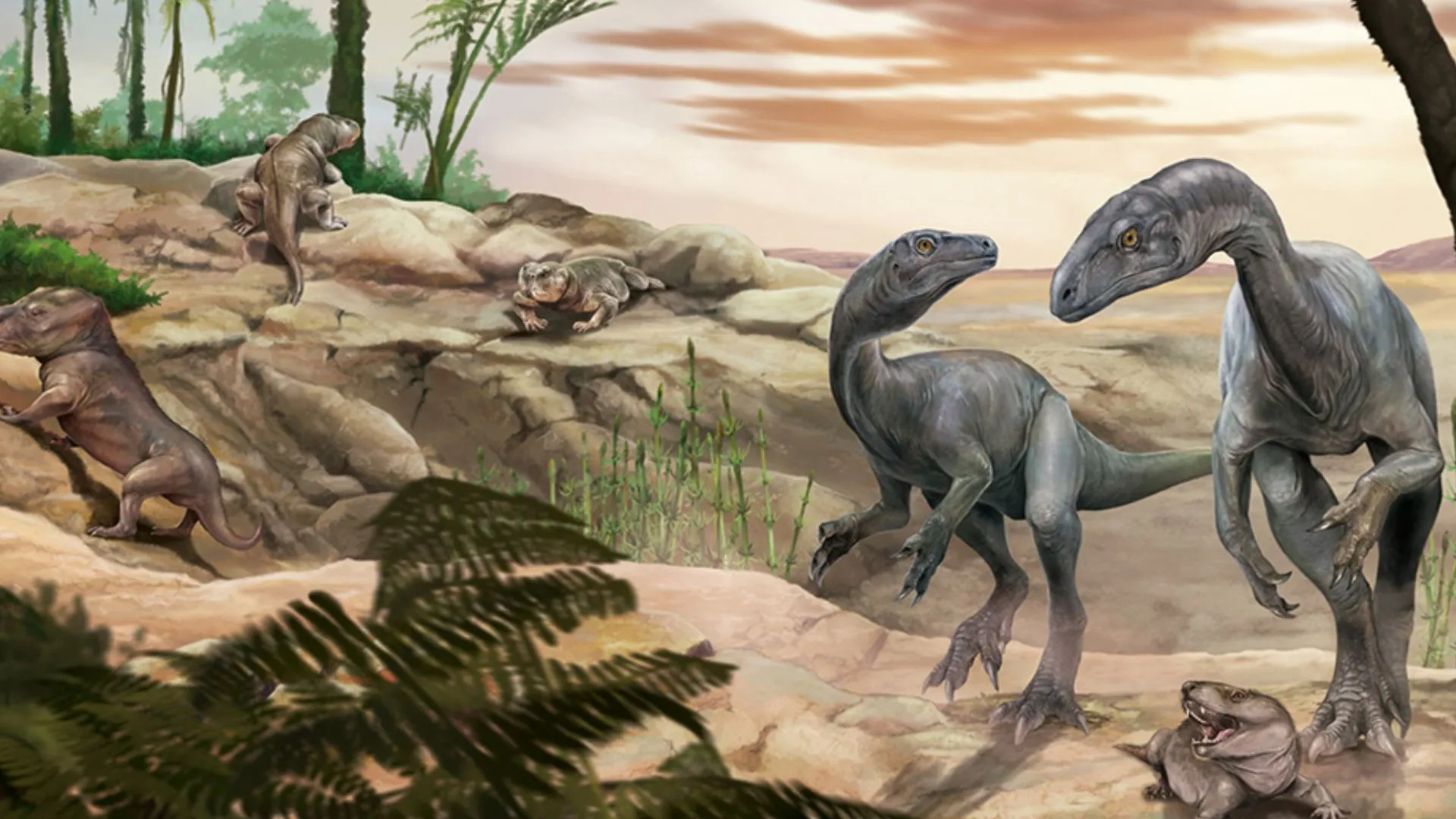 230-million-year-old dinosaur fossil unearthed in remote Argentina