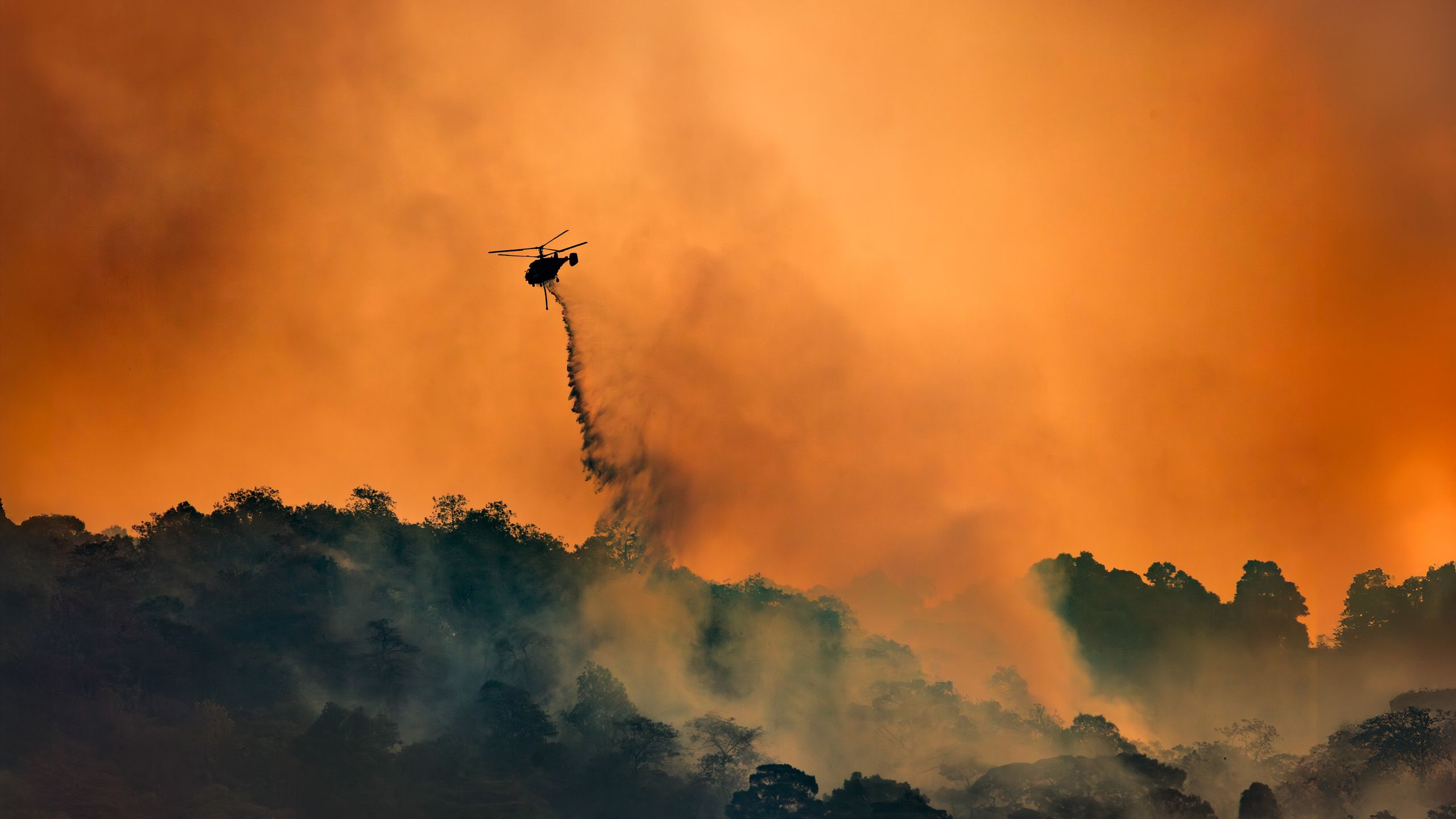 CO2 levels reach record new high, locking in more global warming