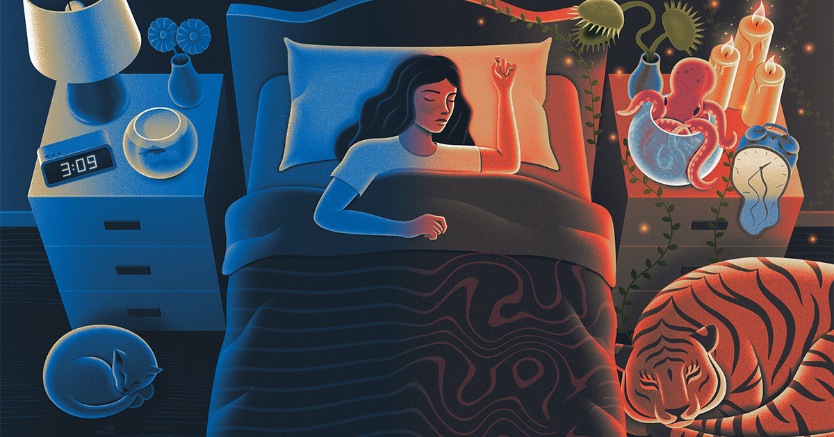How the Brain Moves From Waking Life to Sleep (and Back Again)