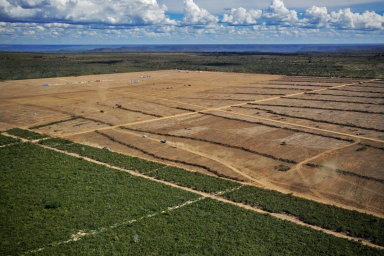 Deforestation for soy continues in Brazilian Cerrado despite EUDR looming