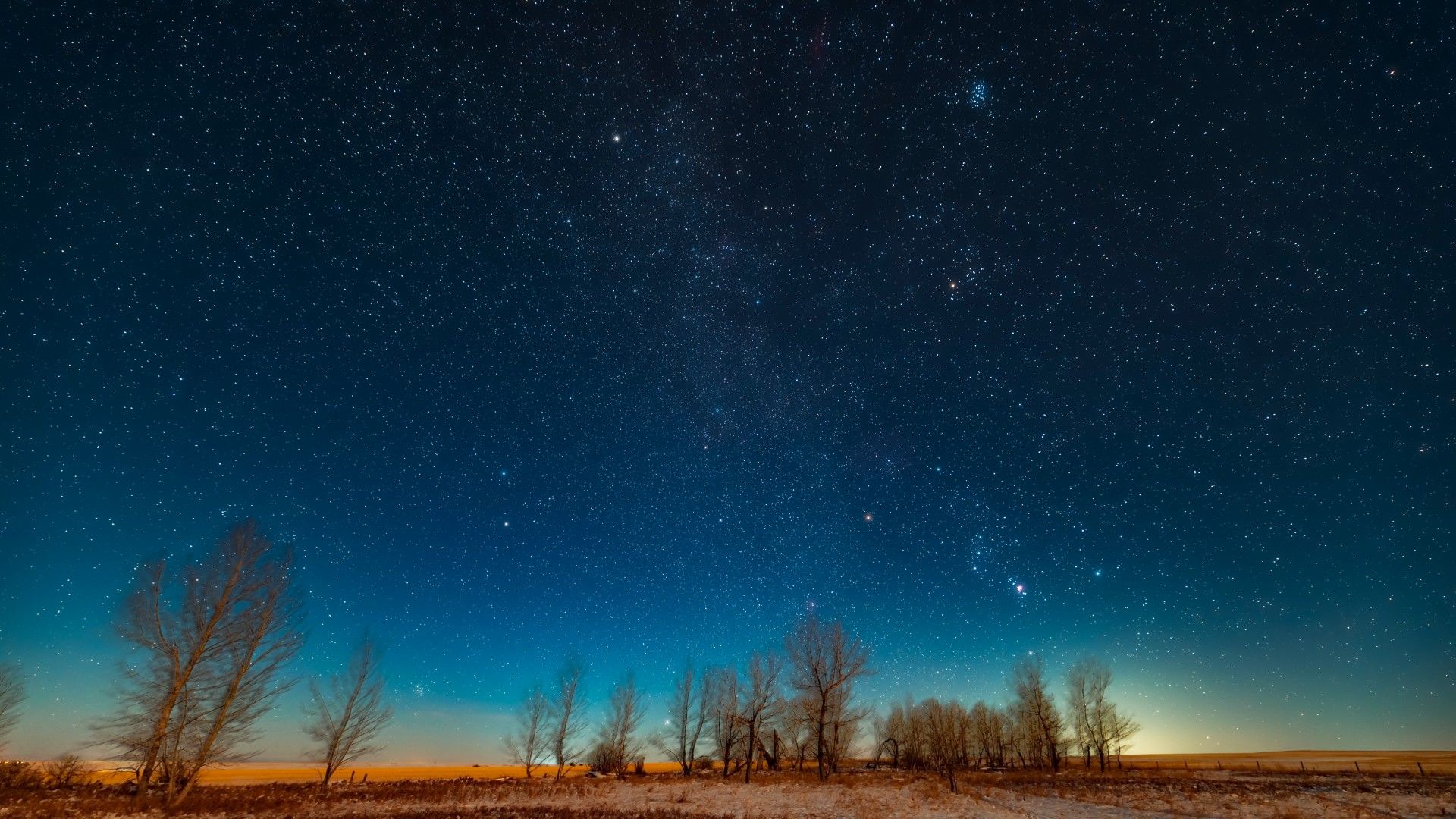 See Orion hunt the half-lit moon on Oct. 12