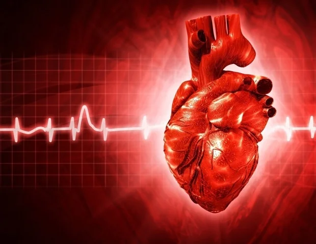 Breakthrough study maps impact of thousands of variants in heart disease gene