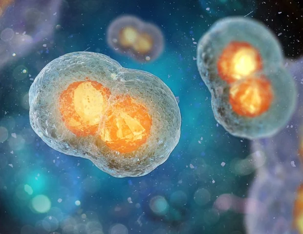 Researchers achieve proof of concept for generating eggs from somatic cells