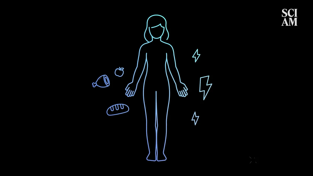 What is Type 1 Diabetes? Here’s Your 5-Minute Primer